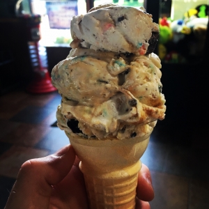 Double Dish/Sugar or Wafer Cone