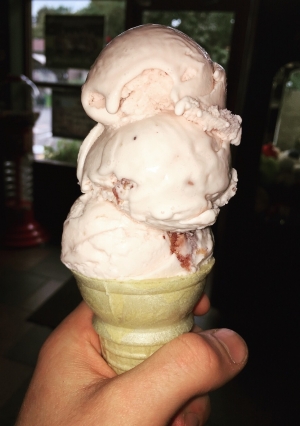 Triple Dish/Sugar or Wafer Cone